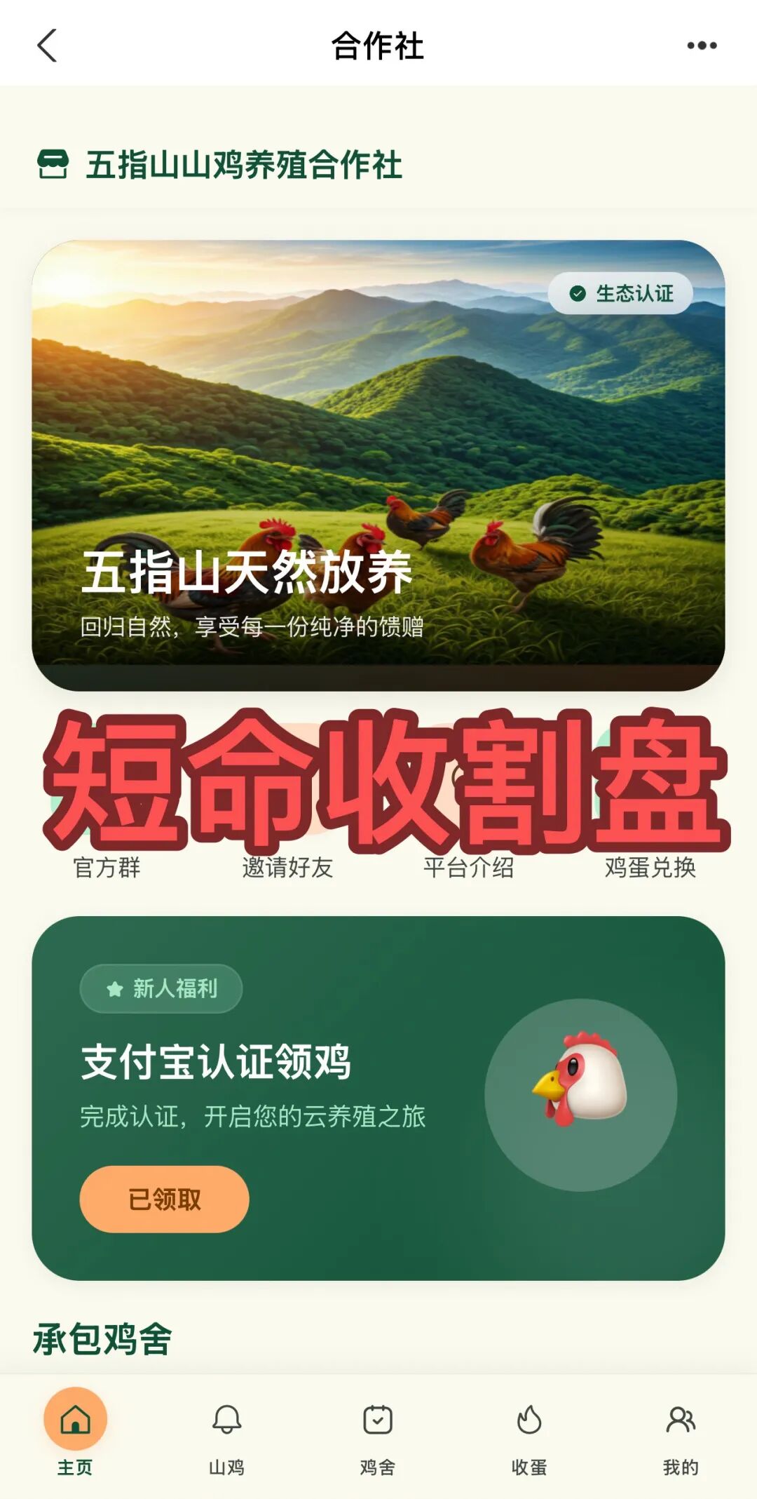 原文图片